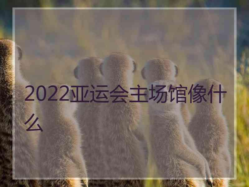 2022亚运会主场馆像什么