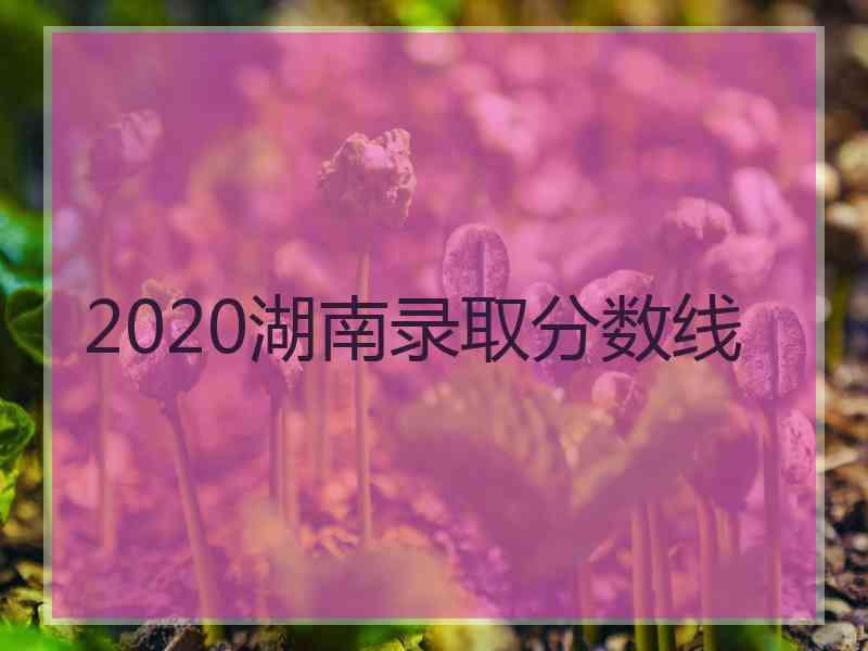 2020湖南录取分数线