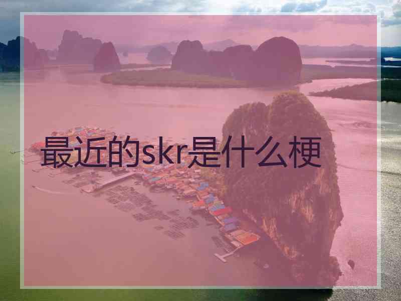 最近的skr是什么梗