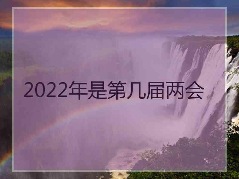 2022年是第几届两会