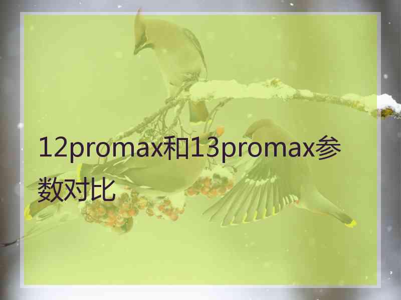 12promax和13promax参数对比