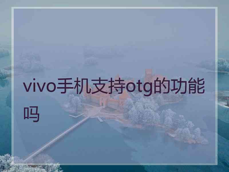 vivo手机支持otg的功能吗