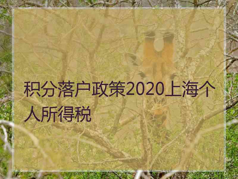 积分落户政策2020上海个人所得税