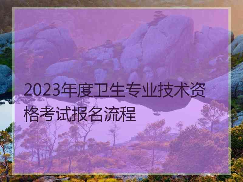 2023年度卫生专业技术资格考试报名流程