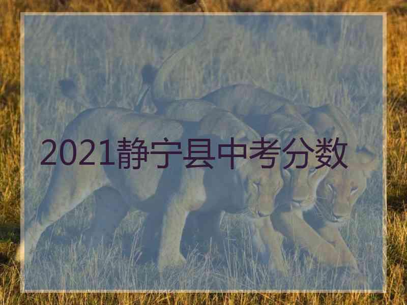 2021静宁县中考分数