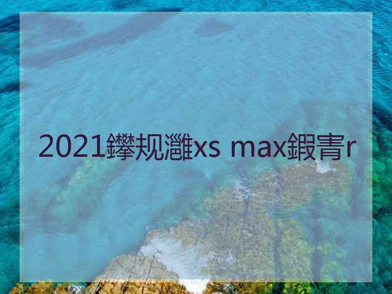 2021鑻规灉xs max鍜寈r