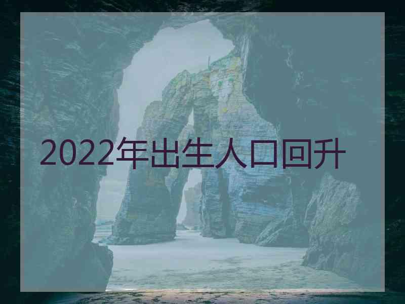 2022年出生人口回升