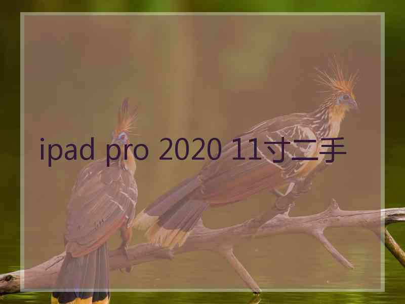 ipad pro 2020 11寸二手