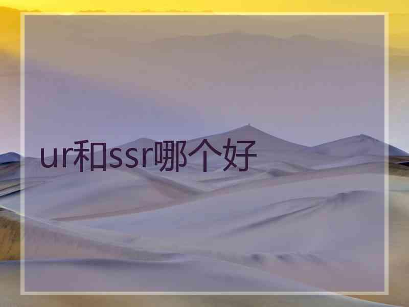 ur和ssr哪个好