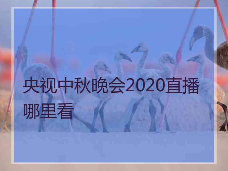 央视中秋晚会2020直播哪里看