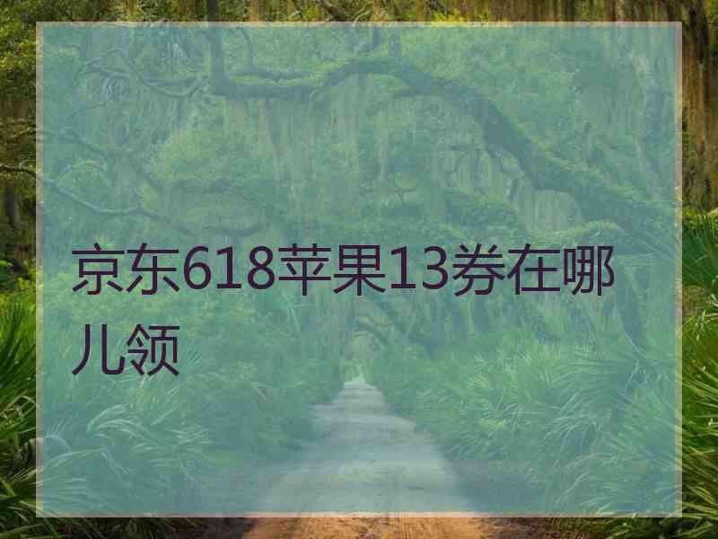 京东618苹果13券在哪儿领