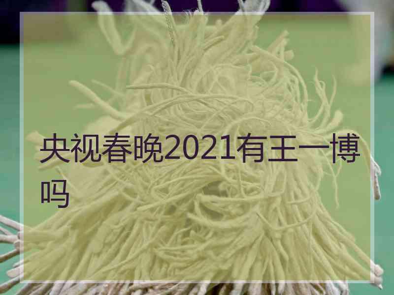 央视春晚2021有王一博吗