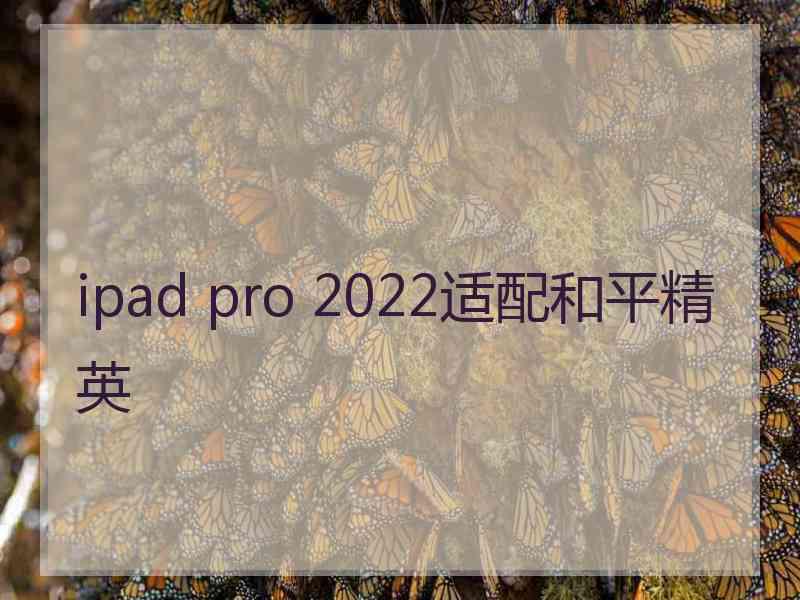 ipad pro 2022适配和平精英