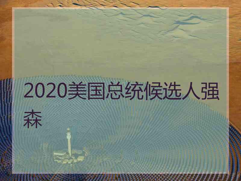 2020美国总统候选人强森