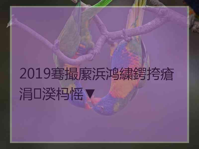 2019骞撮緳浜鸿繍鍔挎瘡涓湀杩愮▼