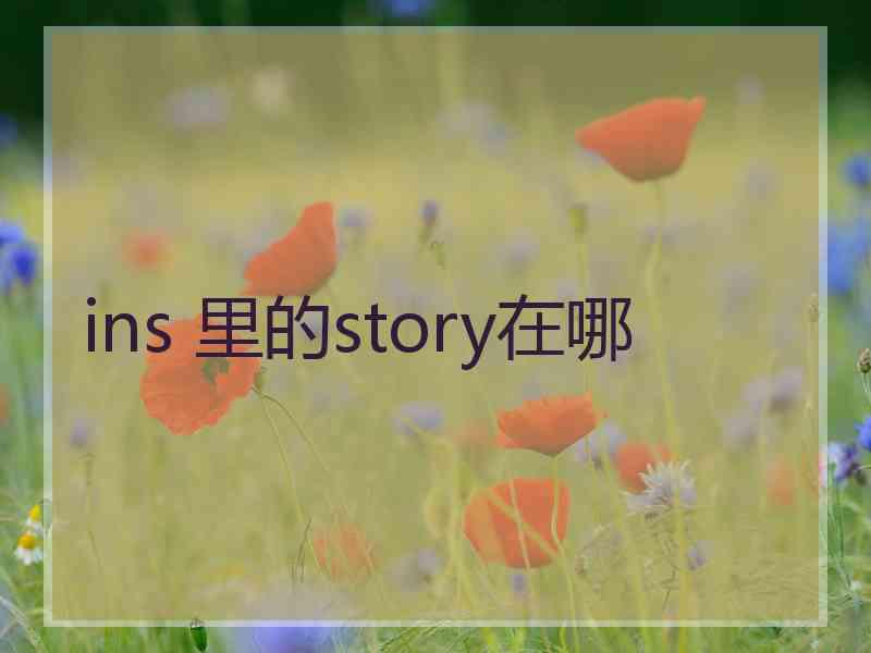 ins 里的story在哪