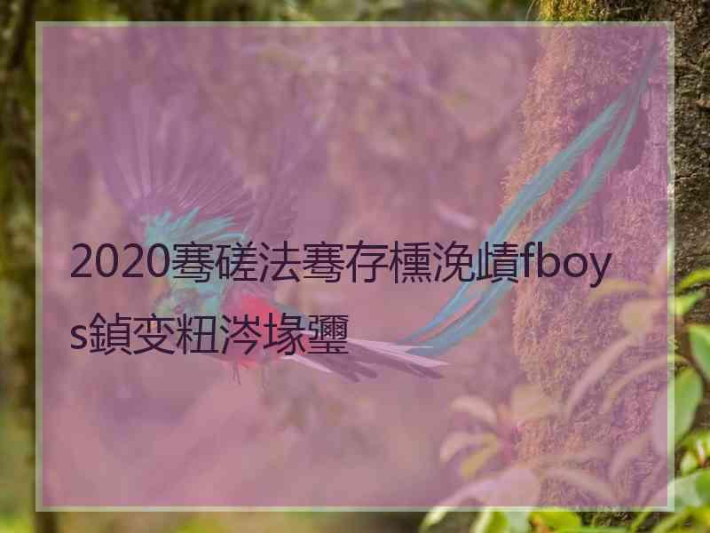 2020骞磋法骞存櫄浼歵fboys鍞变粈涔堟瓕