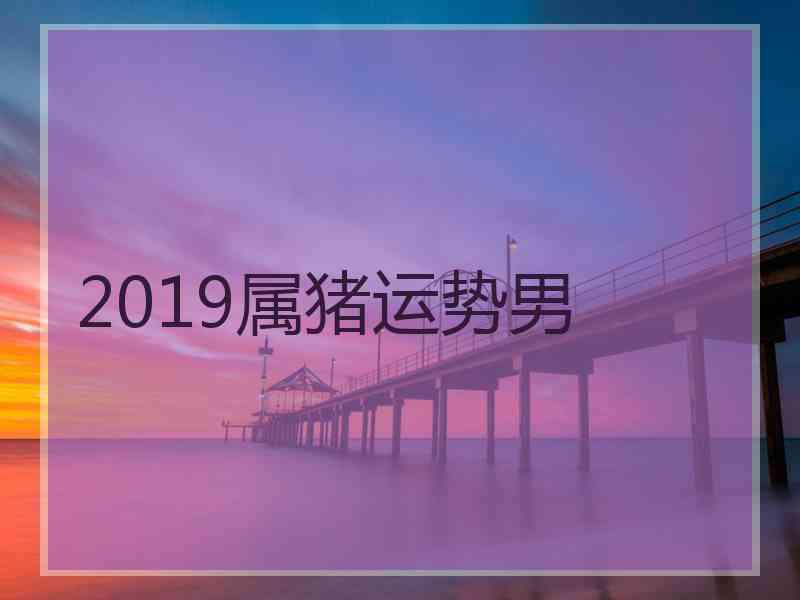 2019属猪运势男