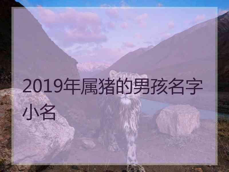 2019年属猪的男孩名字小名