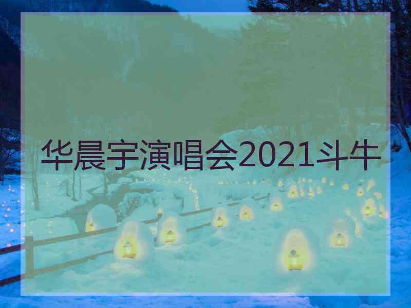 华晨宇演唱会2021斗牛