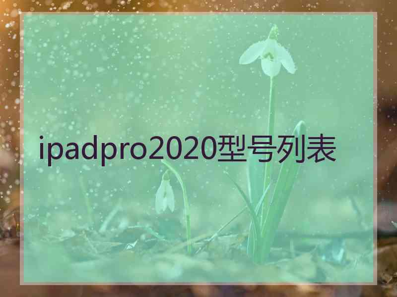 ipadpro2020型号列表