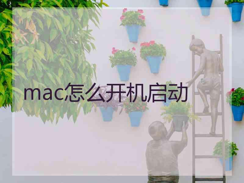 mac怎么开机启动