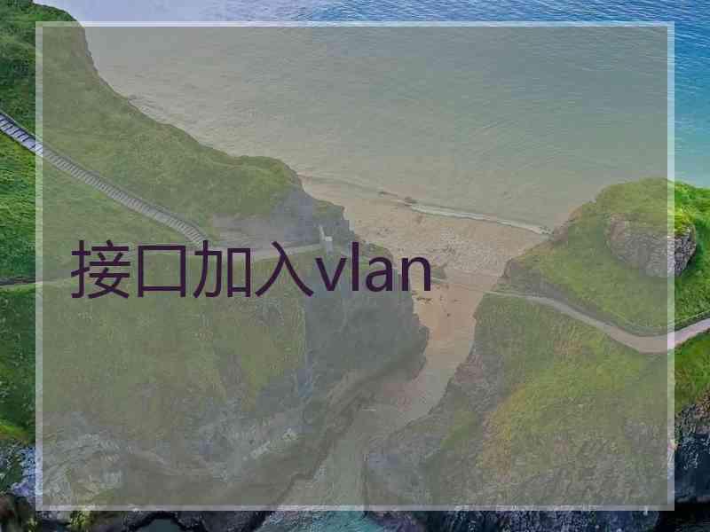 接口加入vlan