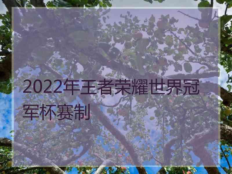 2022年王者荣耀世界冠军杯赛制