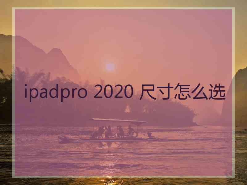 ipadpro 2020 尺寸怎么选