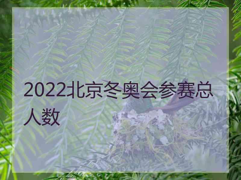 2022北京冬奥会参赛总人数