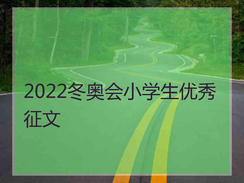 2022冬奥会小学生优秀征文