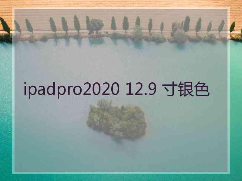 ipadpro2020 12.9 寸银色