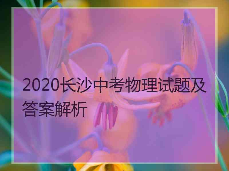 2020长沙中考物理试题及答案解析