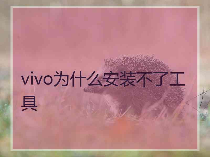 vivo为什么安装不了工具