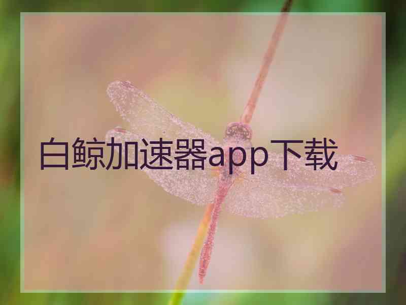 白鲸加速器app下载