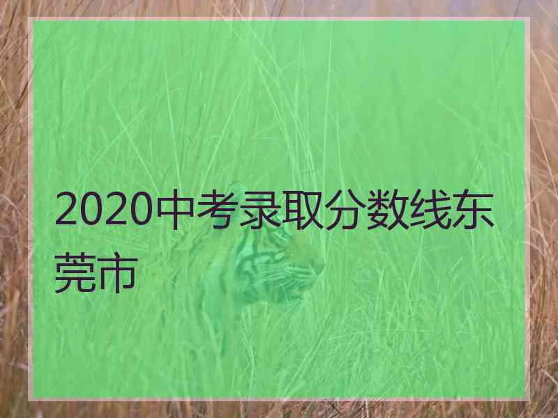 2020中考录取分数线东莞市