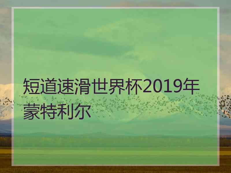 短道速滑世界杯2019年蒙特利尔