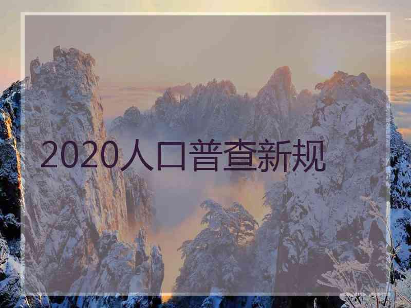 2020人口普查新规