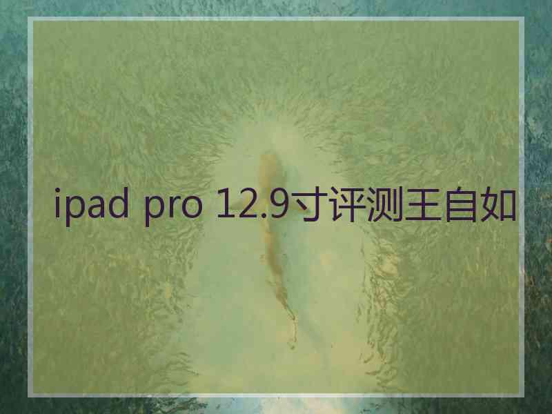 ipad pro 12.9寸评测王自如