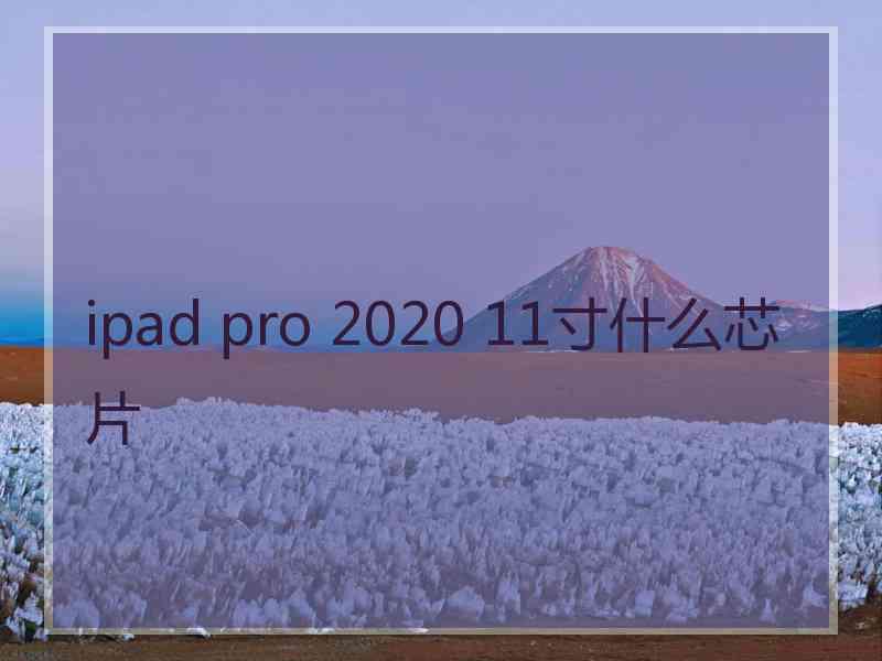 ipad pro 2020 11寸什么芯片