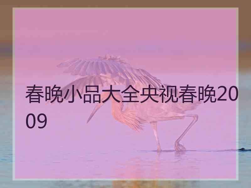 春晚小品大全央视春晚2009