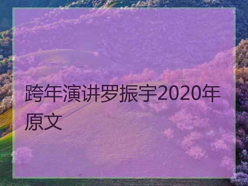 跨年演讲罗振宇2020年原文