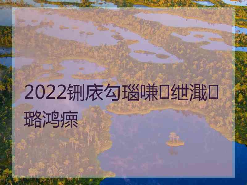 2022铏庡勾瑙嗛绁濈璐鸿瘝