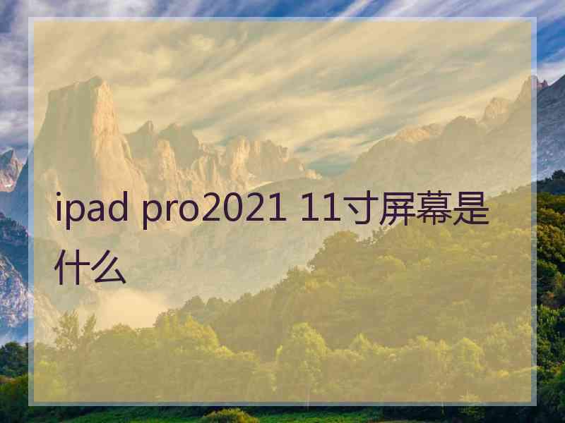 ipad pro2021 11寸屏幕是什么