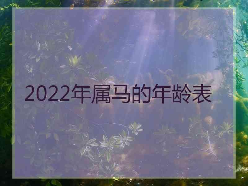 2022年属马的年龄表