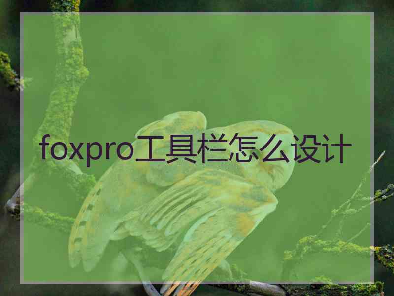 foxpro工具栏怎么设计