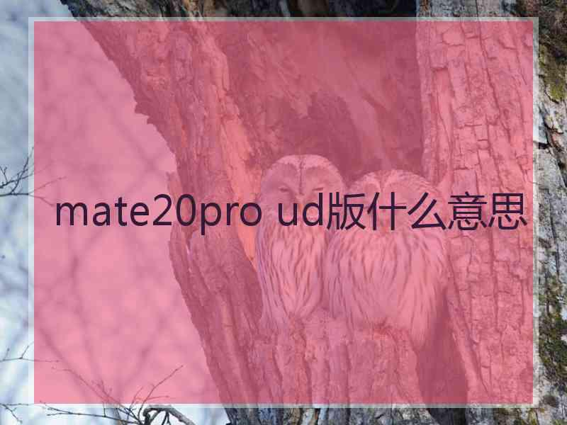 mate20pro ud版什么意思