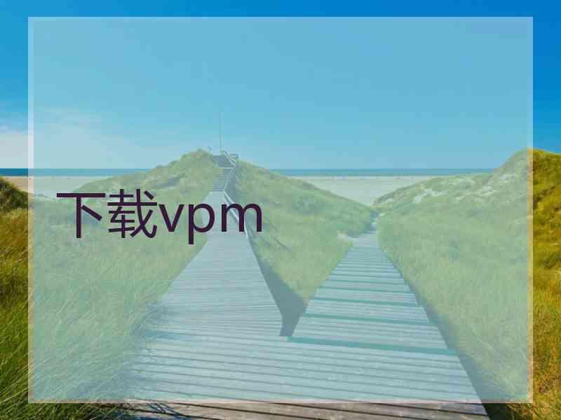 下载vpm