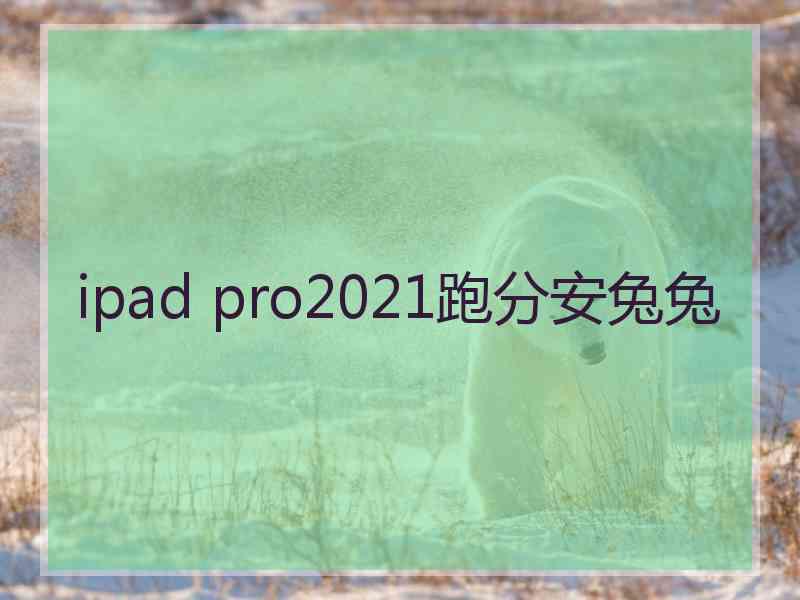 ipad pro2021跑分安兔兔