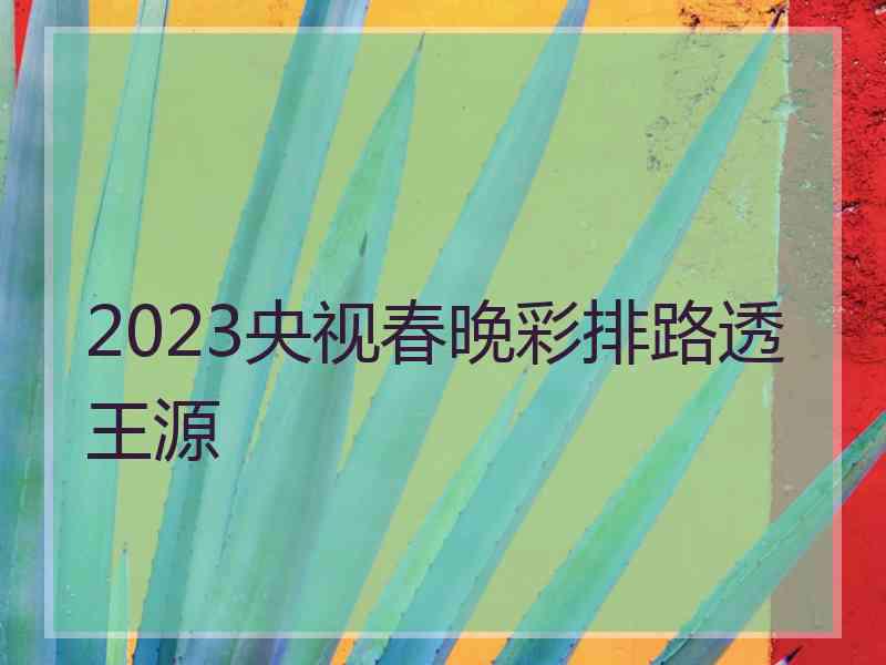 2023央视春晚彩排路透王源